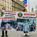 Activistas denuncian omisiones de Procuraduría Federal de Protección al Ambiente (Profepa) ante tala ilegal en Bosque de Agua