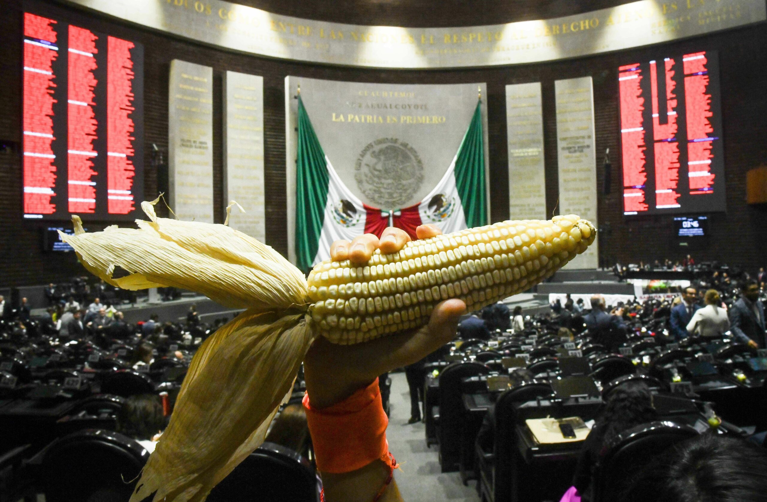 La reforma a los artículos 4 y 27 de la Constitución en materia de conservación y protección de los maíces nativos fue aprobada